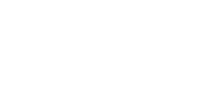 VV logo
